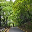 죽도봉주차장 이미지