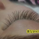 나나앤포에버