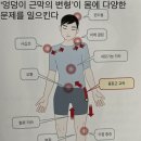 주부침구사 | 엉덩이를 주무르기만 해도 통증의 90%는 사라진다