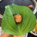 처음본 명품민물장어 수유시장점 이미지