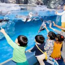 롯데월드아쿠아리움 이미지