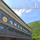 강원도여행 아이와 함께 가족숙소 태백호텔 프리미엄 패밀리 수영장 조식 후기