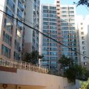 서울대학교사범대학부설중학교 이미지