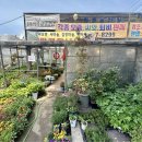 수주농원 이미지