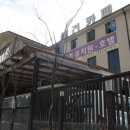 101애견유치원 이미지