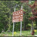 하이얀목장 | <바우길>_[트래킹/여행/국내여행]