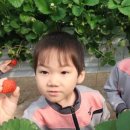 봉계초등학교유치원 이미지