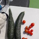 중리할머니경로당 이미지