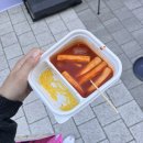 모이스텔라