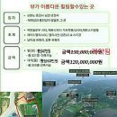 관천리 이미지