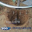 대구유천초등학교 네이버블로그