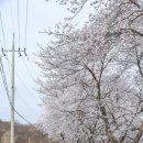 갈산리 마을회관 이미지