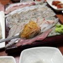 동해바다횟집 | 율량동 횟집 신선한 모듬회 ⭐동해바다⭐청주 방어 횟집추천 내돈내산 후기