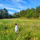 동광리-14 이미지