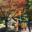 노벨생태어린이집 이미지