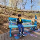 금대초등학교 이미지