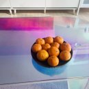 성훈농장 이미지