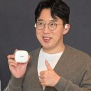 스텔라바디핏 이미지