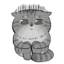 X코인노래연습장 이미지