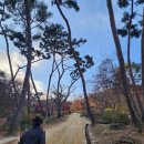 전등사 | 고구려 시대에 지어진 사찰인 강화도 전등사 다녀 온 후기