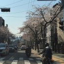 엘복싱 | 4월과 5월 그 사이 어디쯤