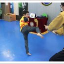 용인대 한얼 태권도 이미지