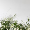 강남대로8길 40-13 이미지