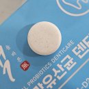 리빙강선생 이미지