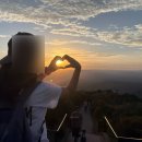 산새어린이공원 | 시드니블루마운틴 별보기 투어 추천 호주무한투어