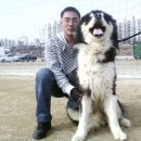 꼴통 Daum카페