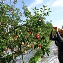 경빈농장 이미지