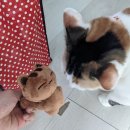 ☕✉️🌏#67 이미지