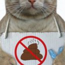 박순석농장 이미지