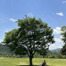 황산(주차장)화장실 | 피크닉과 차크닉을 동시에 할 수 있는 황산공원(주차장과 화장실 정보)
