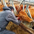 김해농장2 이미지