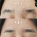 리사브로우 이미지