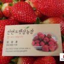 햇살 농장 이미지