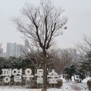 열우물숲공원 이미지