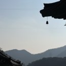 천태산죽염