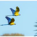 새들농장 이미지