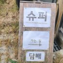스테이홉스