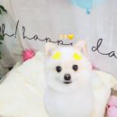다이아몽 이미지
