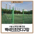 백석인조잔디구장 이미지