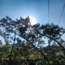 굴암산가든 이미지