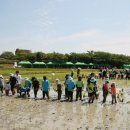 순천만 우리 이미지