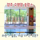 주식회사 라한호텔(경주) | 힐튼 경주 호텔 vs 라한셀렉트 경주 겨울 수영장 호캉스 2월 특가 비교