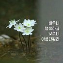 따뜻한말한마디