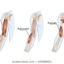 K 헬스 GYM 이미지