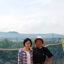 최영숙농장 이미지