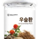 헬로우그린(hello green)